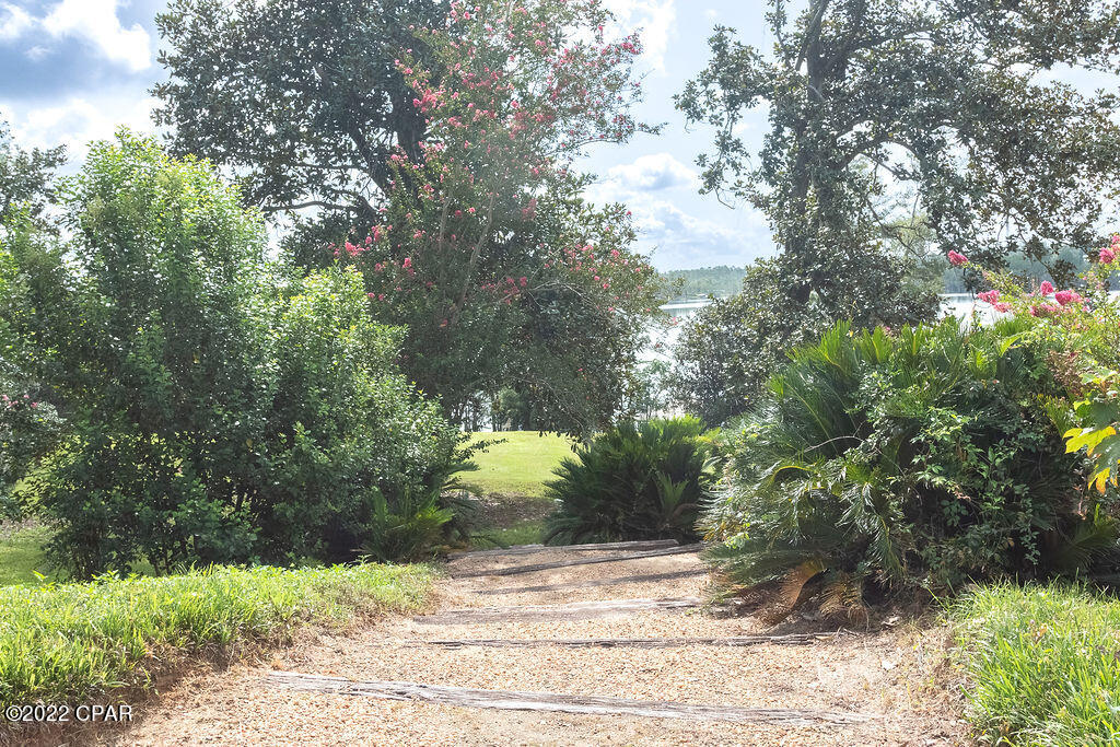 Magnolia Cove - Land