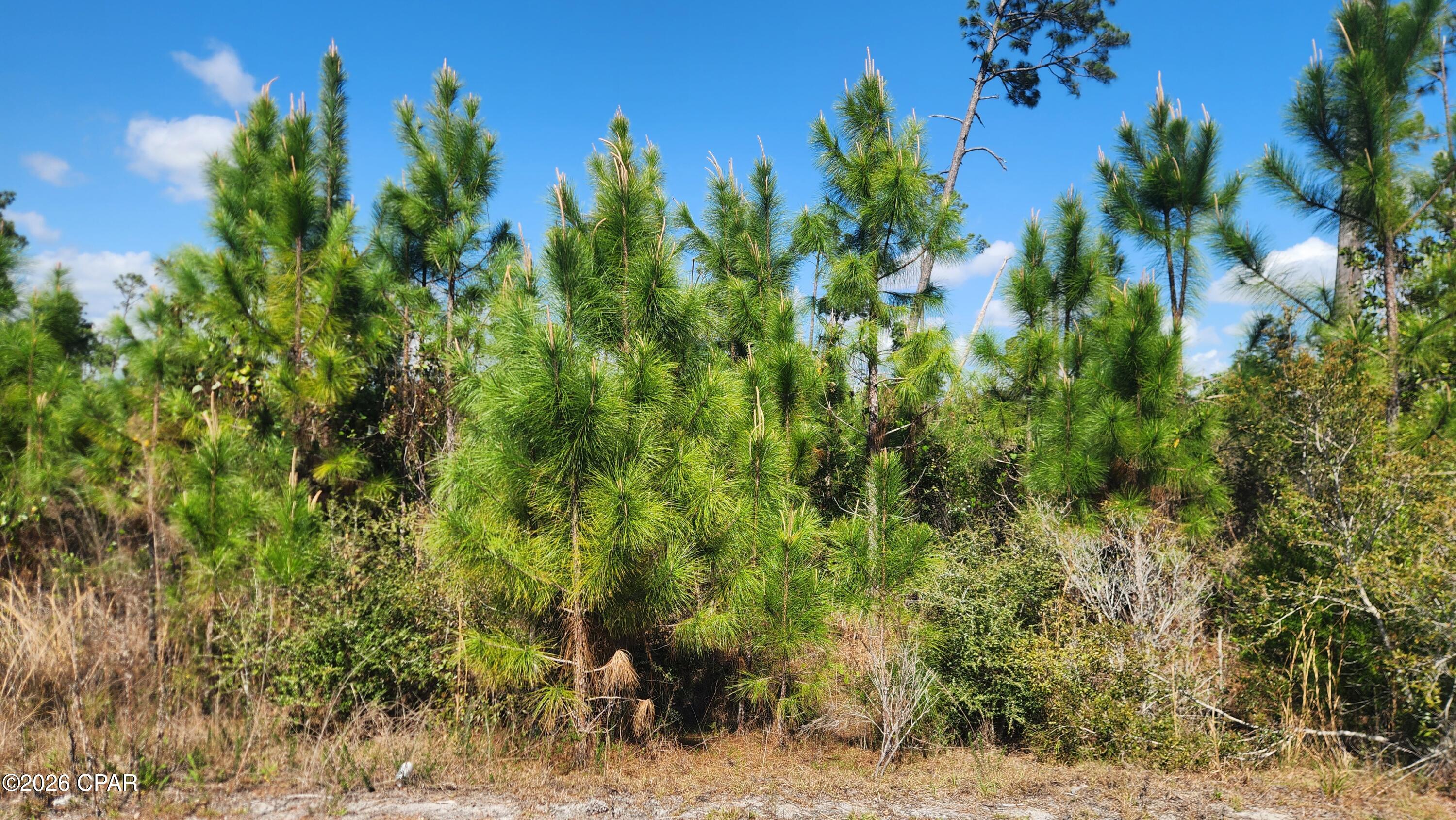 East Bay Plantation - Land