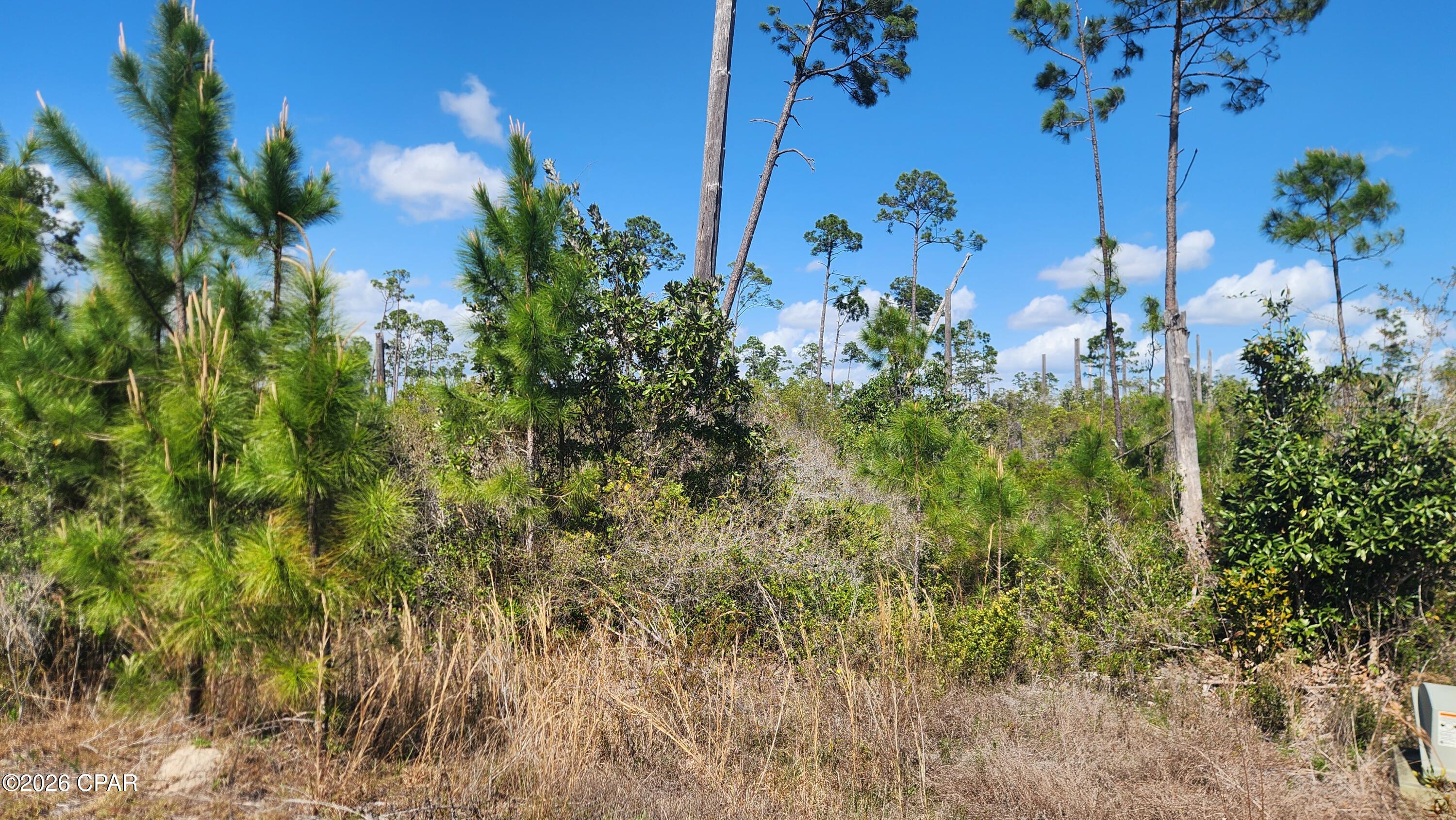 East Bay Plantation - Land