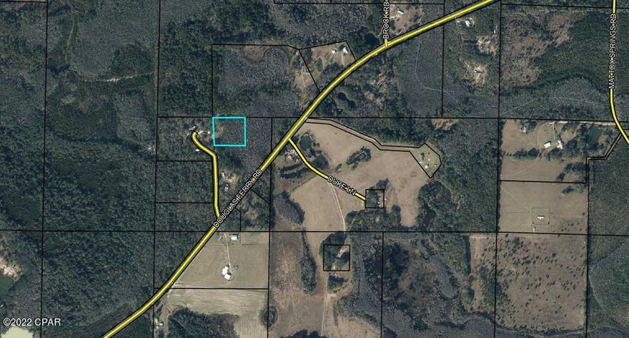 No restrictions.  Easy access. The front of the property has been cleared.   Quiet dead end road.  Easement to the property.  Property has been surveyed.  One hour to Panama City Beach.  10 min drive MOL to I-10 in Bonifay.