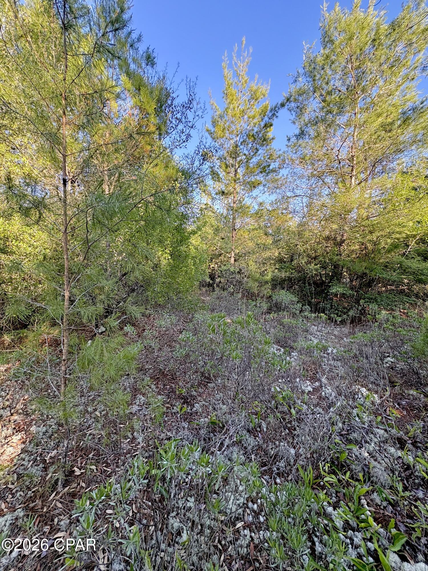 Sunny Hills Unit 2 - Land
