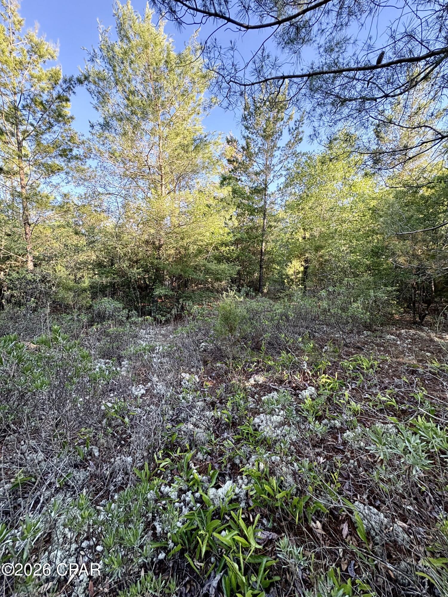 Sunny Hills Unit 2 - Land