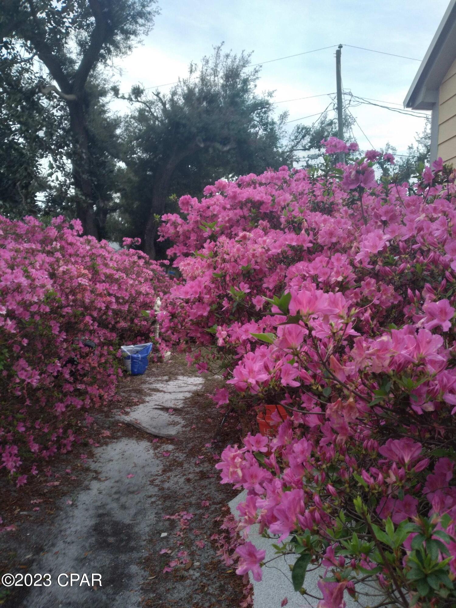 Sudduths 1st Add - Residential