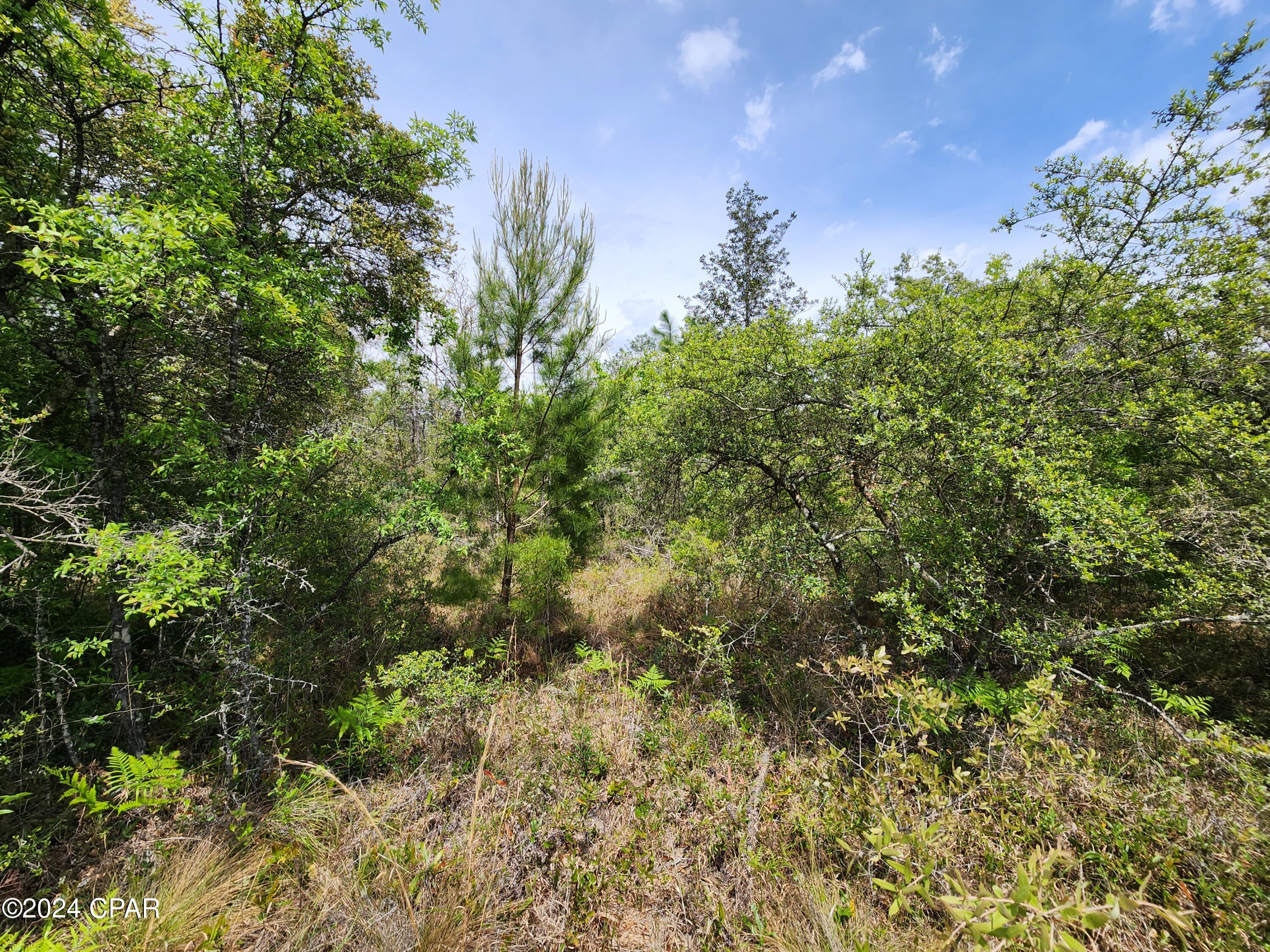 [No Recorded Subdiv] - Land