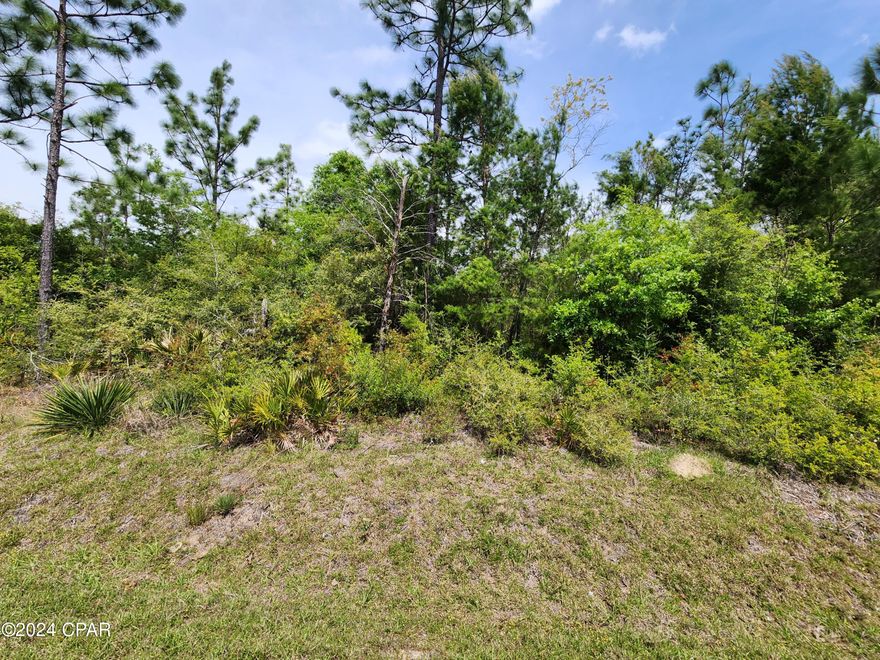 Beautiful land with lot on Center Lake rd.  This is two parcels, one is 10 acre raw land parcel that has some trees on it with another lot that fronts Center Lake rd that leads into the 10 acre parcel.