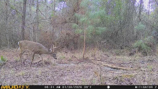 No Named Subdivision - Land