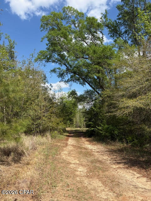 No Named Subdivision - Land