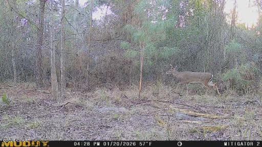 No Named Subdivision - Land