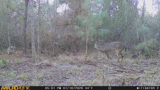 No Named Subdivision - Land