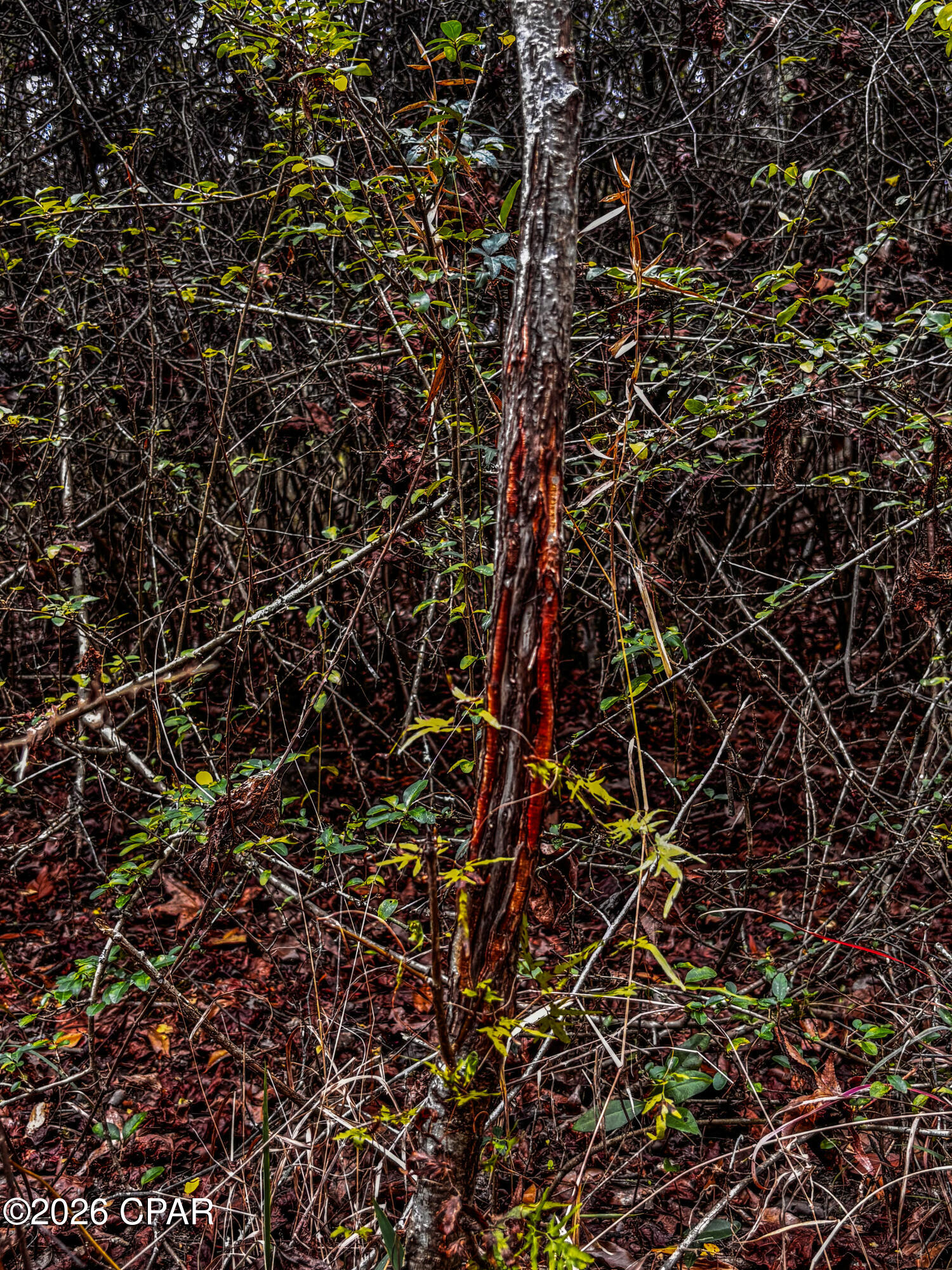 No Named Subdivision - Land