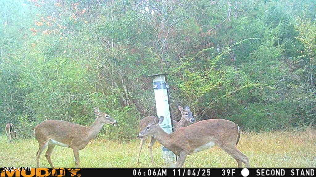 No Named Subdivision - Land