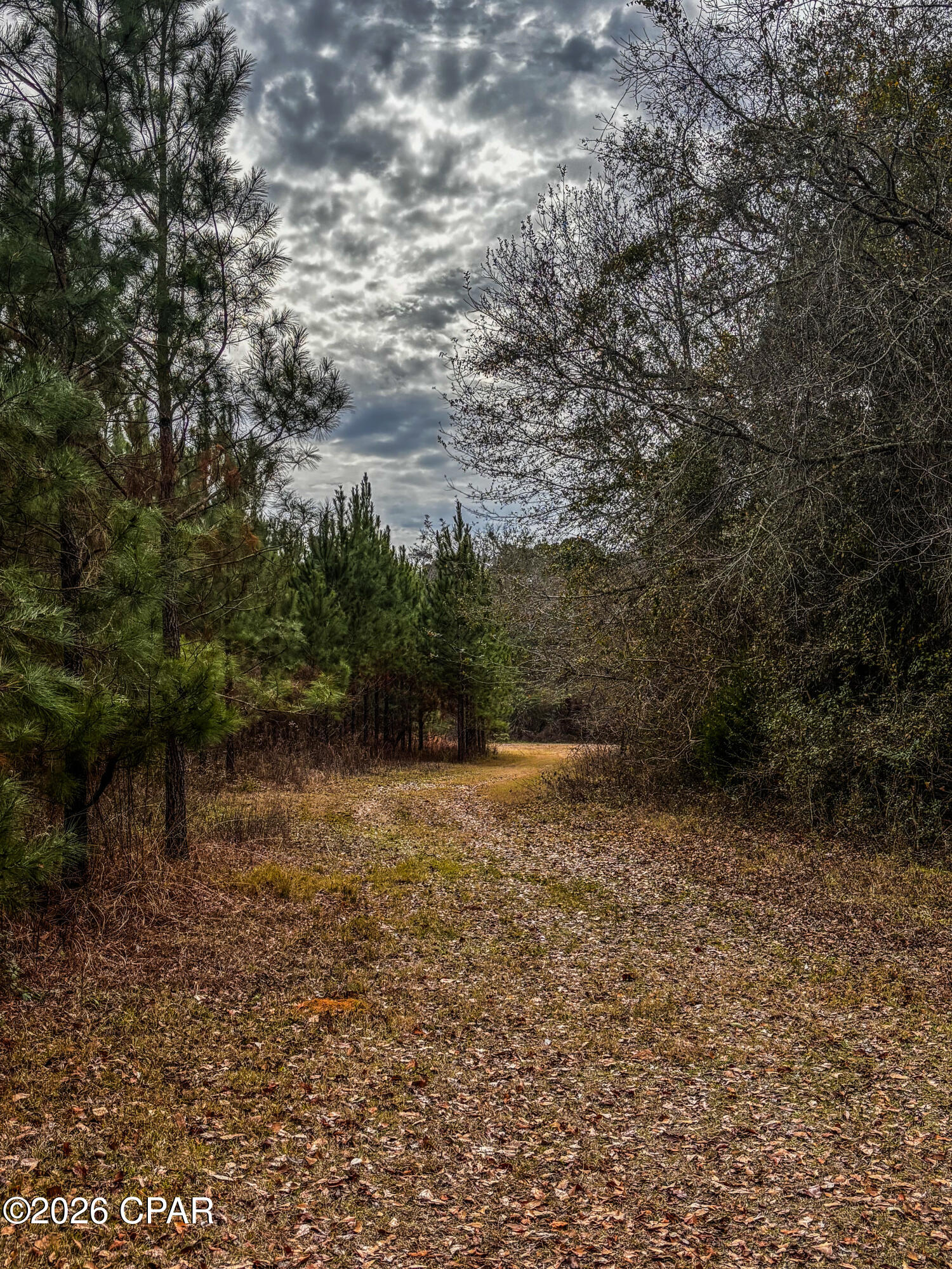 No Named Subdivision - Land