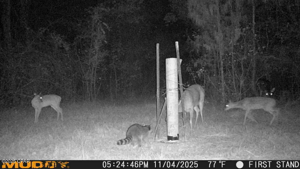 No Named Subdivision - Land