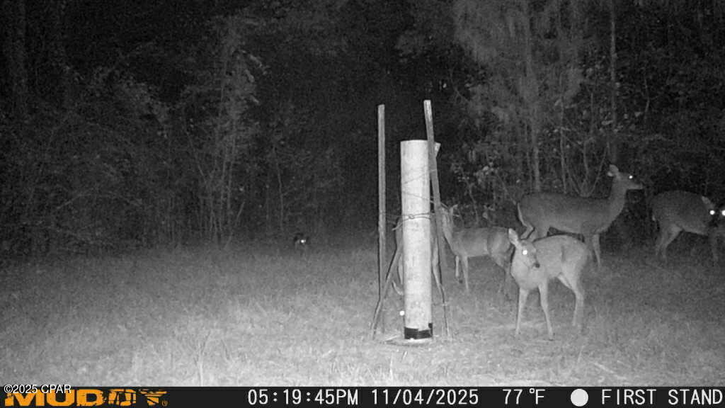 No Named Subdivision - Land