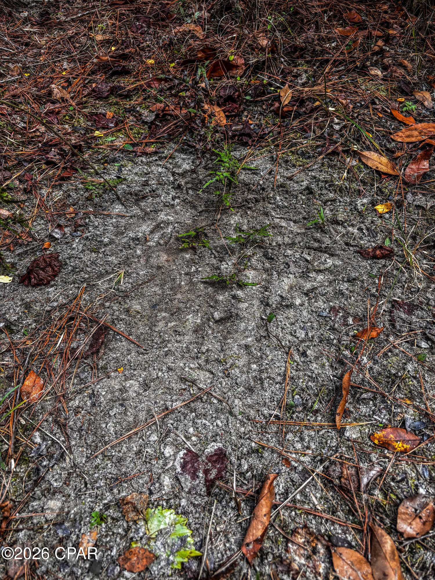 No Named Subdivision - Land