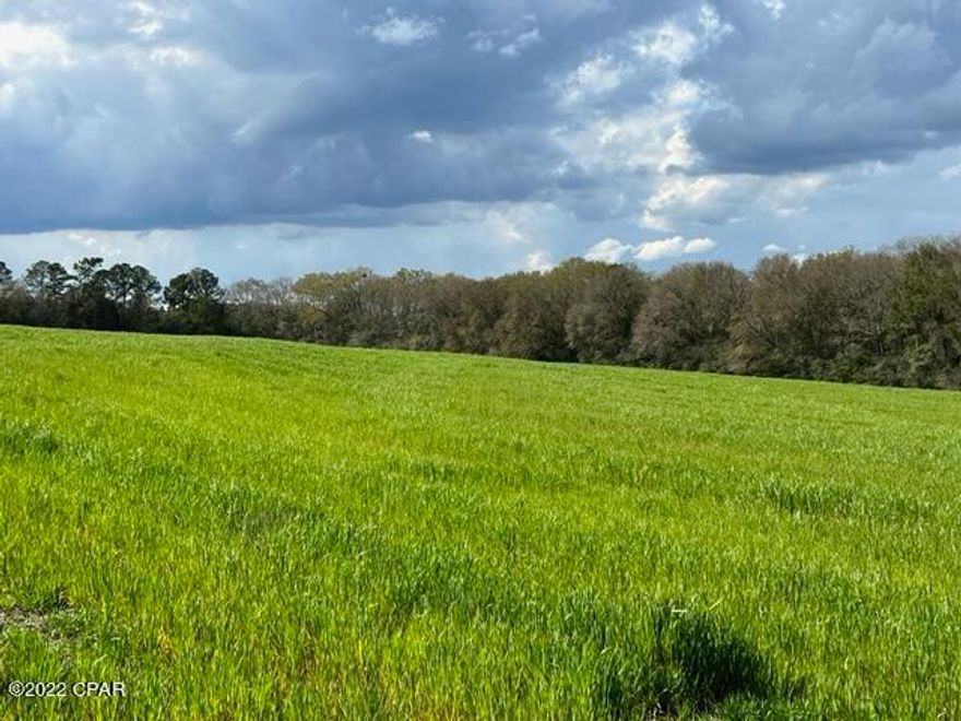 Country property with old house that needs alot of work. With private well, septic and electricity to house. Wright Creek runs through the property. Good hunting or recreational property. There is approx. 16 acres of unirrigated farm land, balance of the property in natural woods.