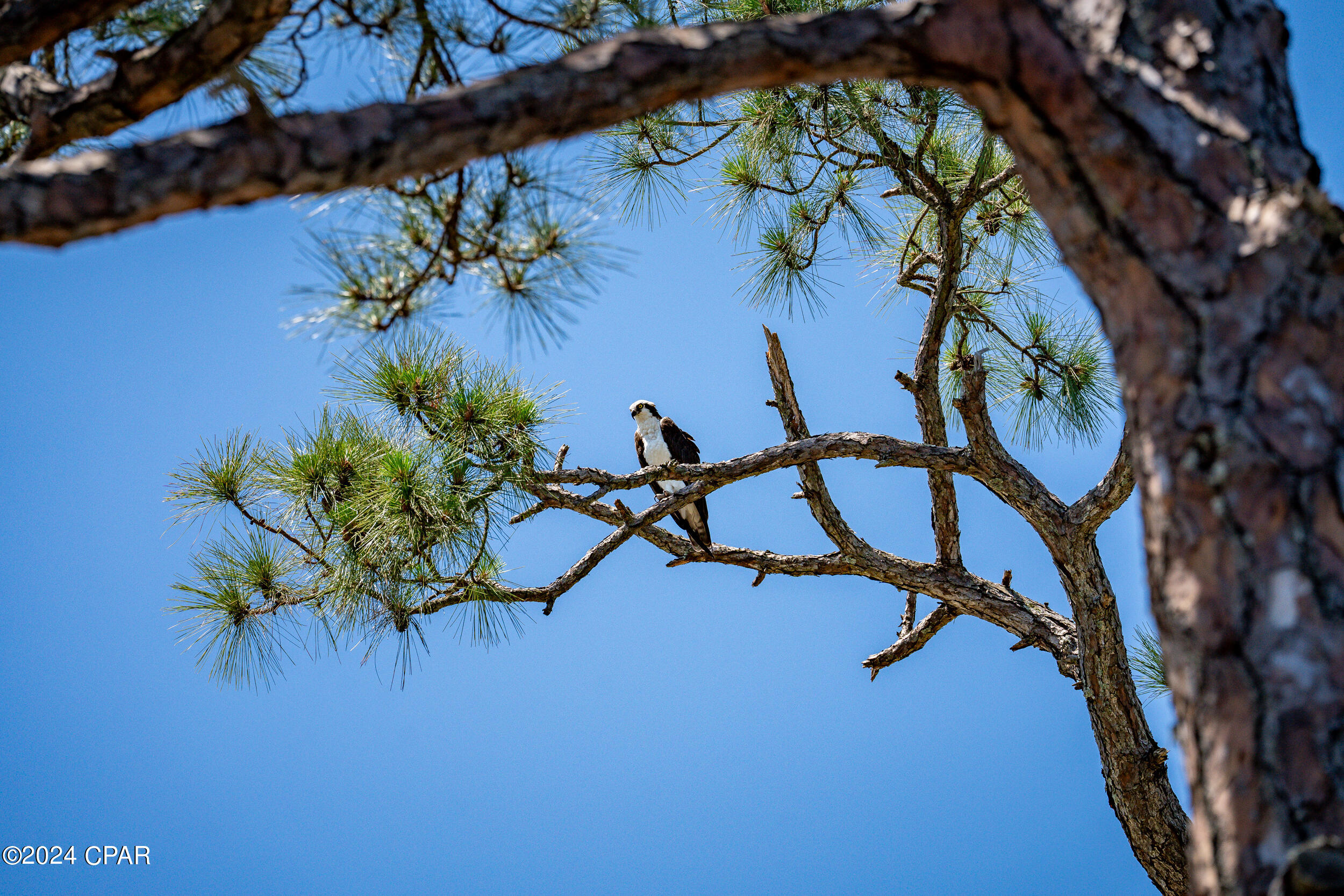 Magnolia Beach - Residential