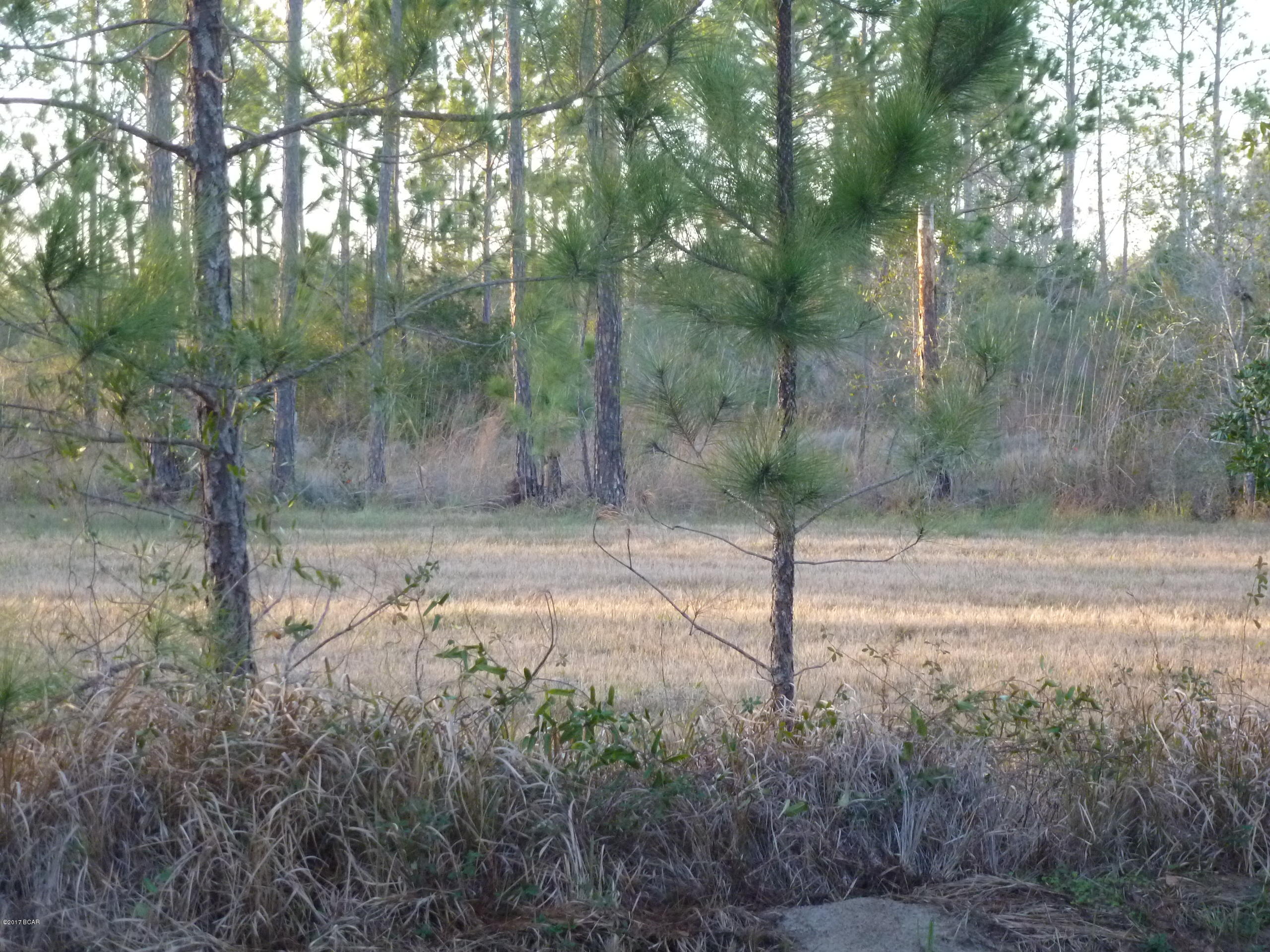 North Bay Estates - Land
