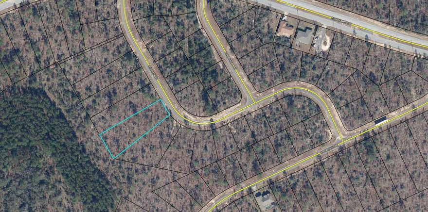 Huge (.674 acre) building lot in Sunny Hills, a deed restricted community. Lot backs up to a greenbelt area so you will never have back door  neighbors. This growing community features a popular 18 hole public golf course, Boat Lake with it's swimming beach, and many fine fishing lakes. Great opportunity to invest in the future of the Florida Panhandle. Buyer to pay Title Insurance, Closing fee, and Doc Stamps on the Deed.