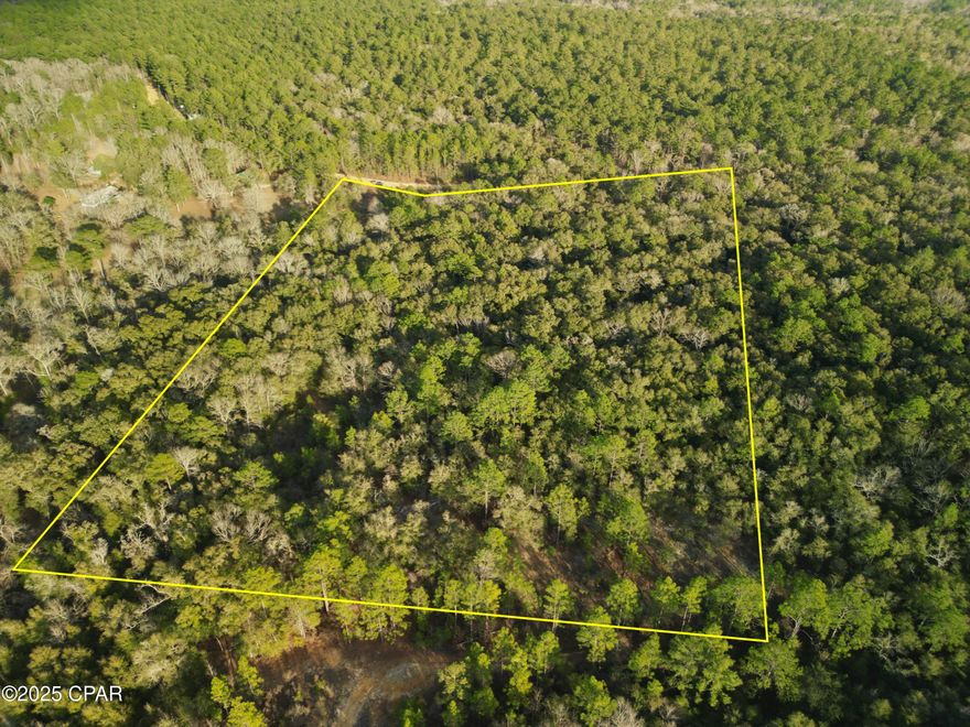 Escape to the serenity of country living with this sprawling 9.98-acre property located on Creek Run Road in Vernon, FL. Nestled in a peaceful setting, this picturesque parcel offers plenty of room to create your dream retreat, whether it's a custom-built home, a mobile home, or a private getaway.

Situated on a dirt road, this property offers the ideal balance of privacy and accessibility, making it perfect for those seeking to enjoy the great outdoors. Surrounded by nature, this land provides plenty of room to roam, garden, or create your own personal oasis away from the hustle and bustle of city life.

Whether you're looking to build, invest, or simply enjoy the serenity of country living, this property is full of potential. Don't miss this opportunity to create your dream retreat!