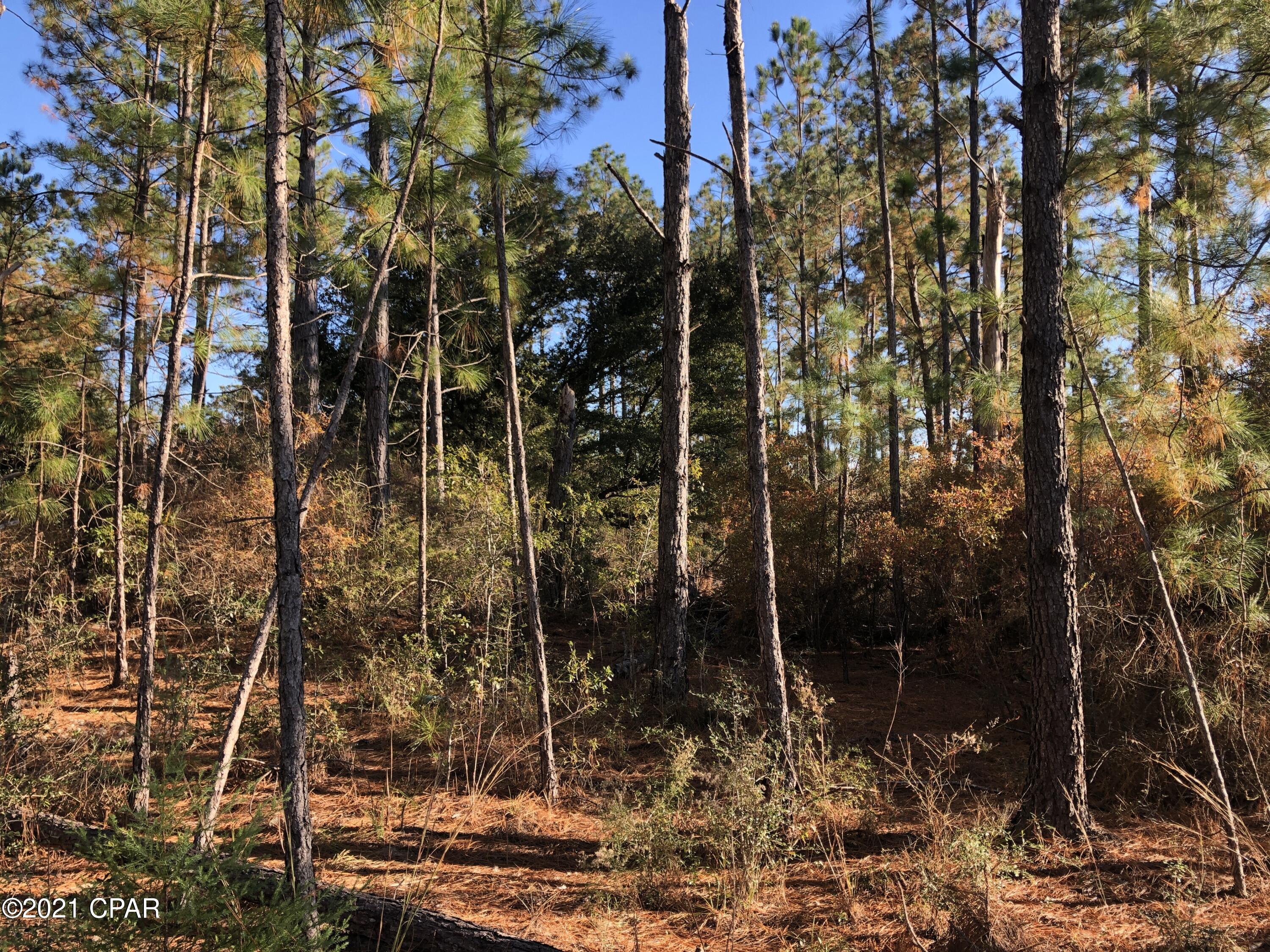 Highlands At Compass Lake - Land