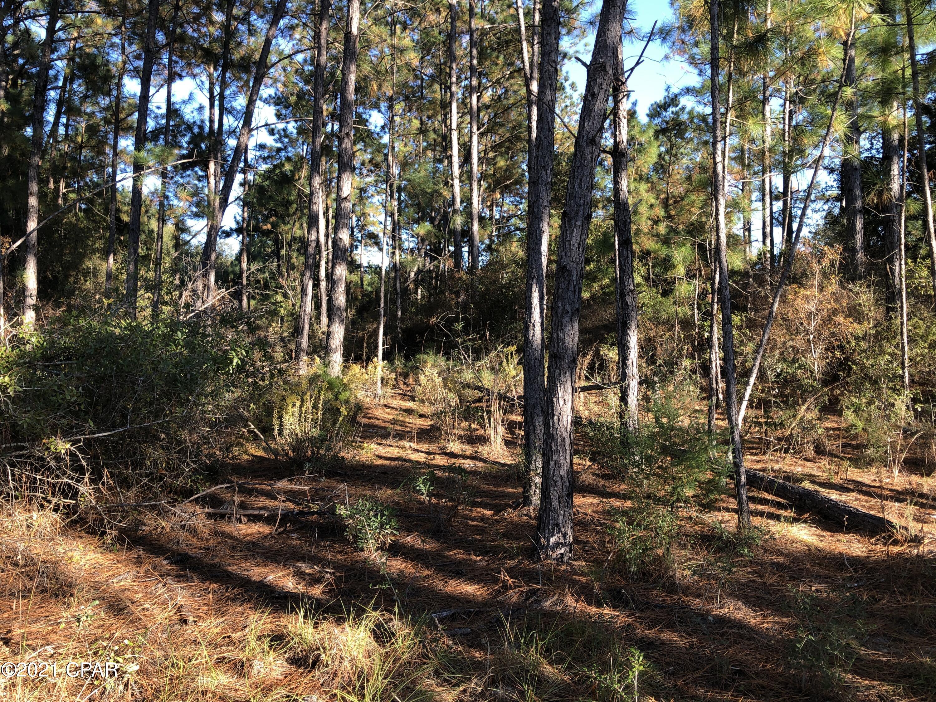 Highlands At Compass Lake - Land