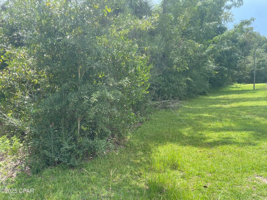 Discover this picturesque 10 +/- acre wooded lot (Lot #9) in Jackson County, FL, located off the quiet dirt road of Calhoun Road. Perfect for building your dream home or bringing a mobile home, this country setting offers peaceful living while remaining close to Marianna, where you'll find all the necessary amenities. Animal lovers will appreciate the room for horses, chickens, or other farm animals, and there's plenty of space to build a barn, plant a garden, or create your own rural retreat. Don't miss the opportunity to own a versatile property in a serene natural environment. Call today for more information.  The adjacent lot is also for sale (Lot #10).
Key Features:
*100% high and dry
*Blue Springs Recreational Area - 2 miles
*Chipola River - 5 miles
*Interstate I-10 - 8 miles
*Marianna, FL - 8 miles
*Dothan, AL - 40 miles