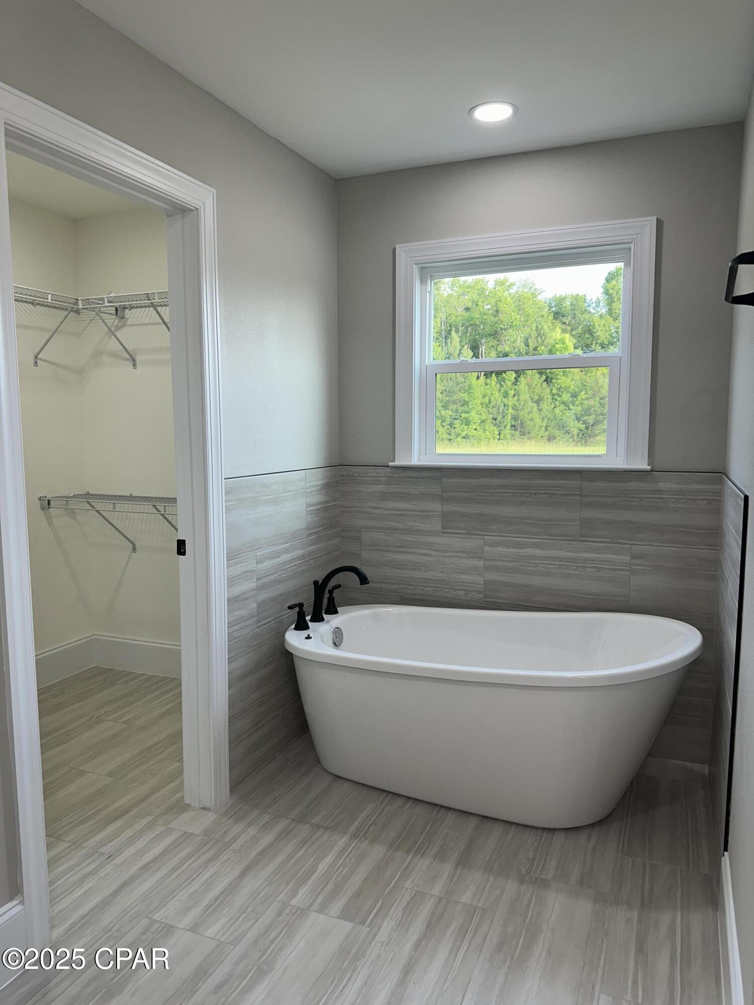 Cypress Tree - Residential