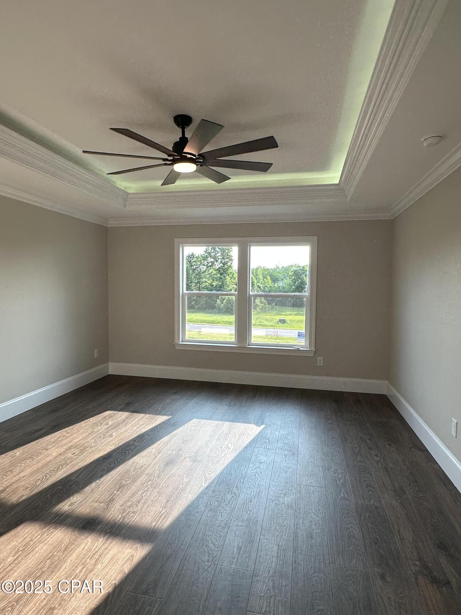 Cypress Tree - Residential