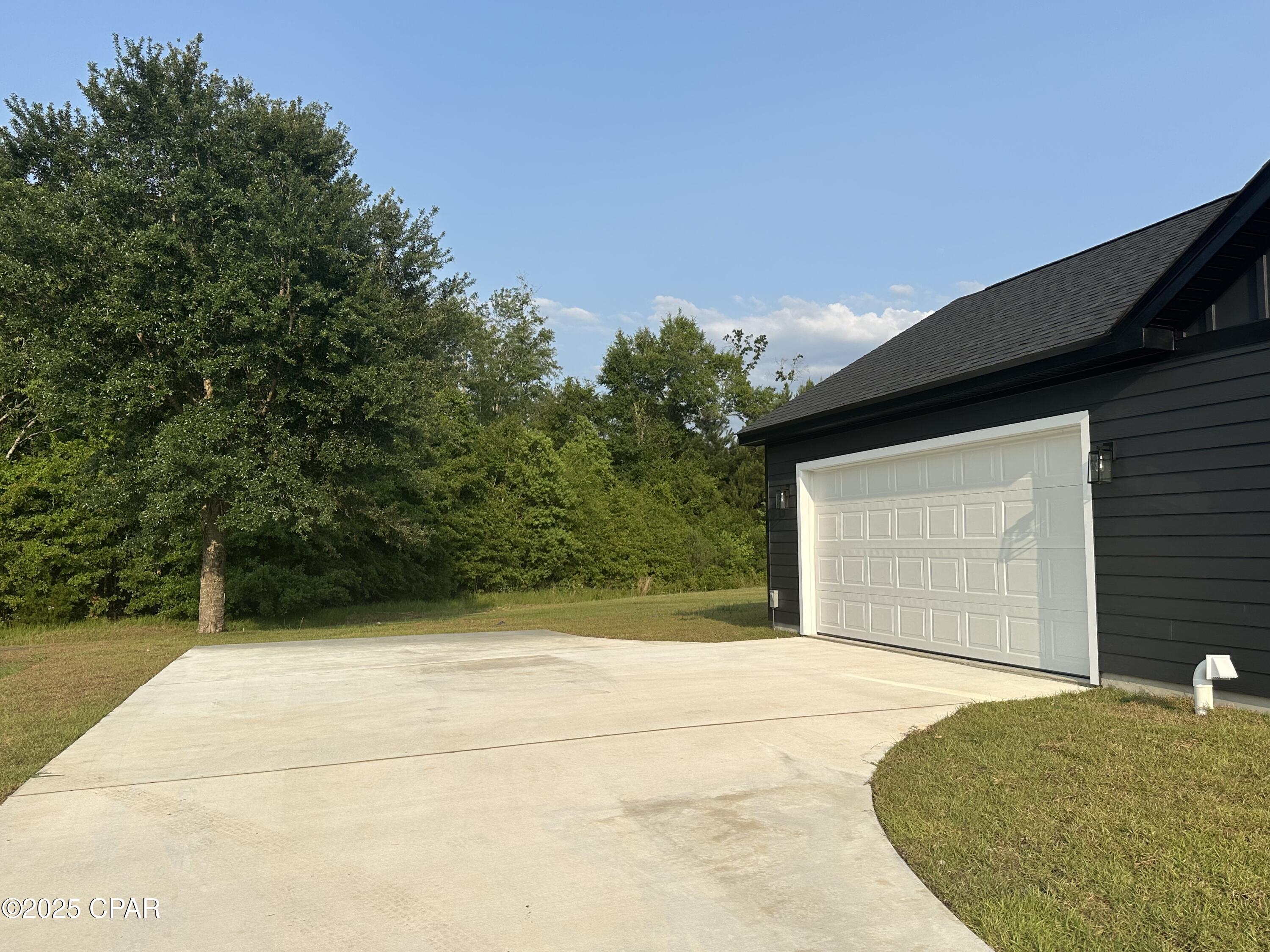 Cypress Tree - Residential