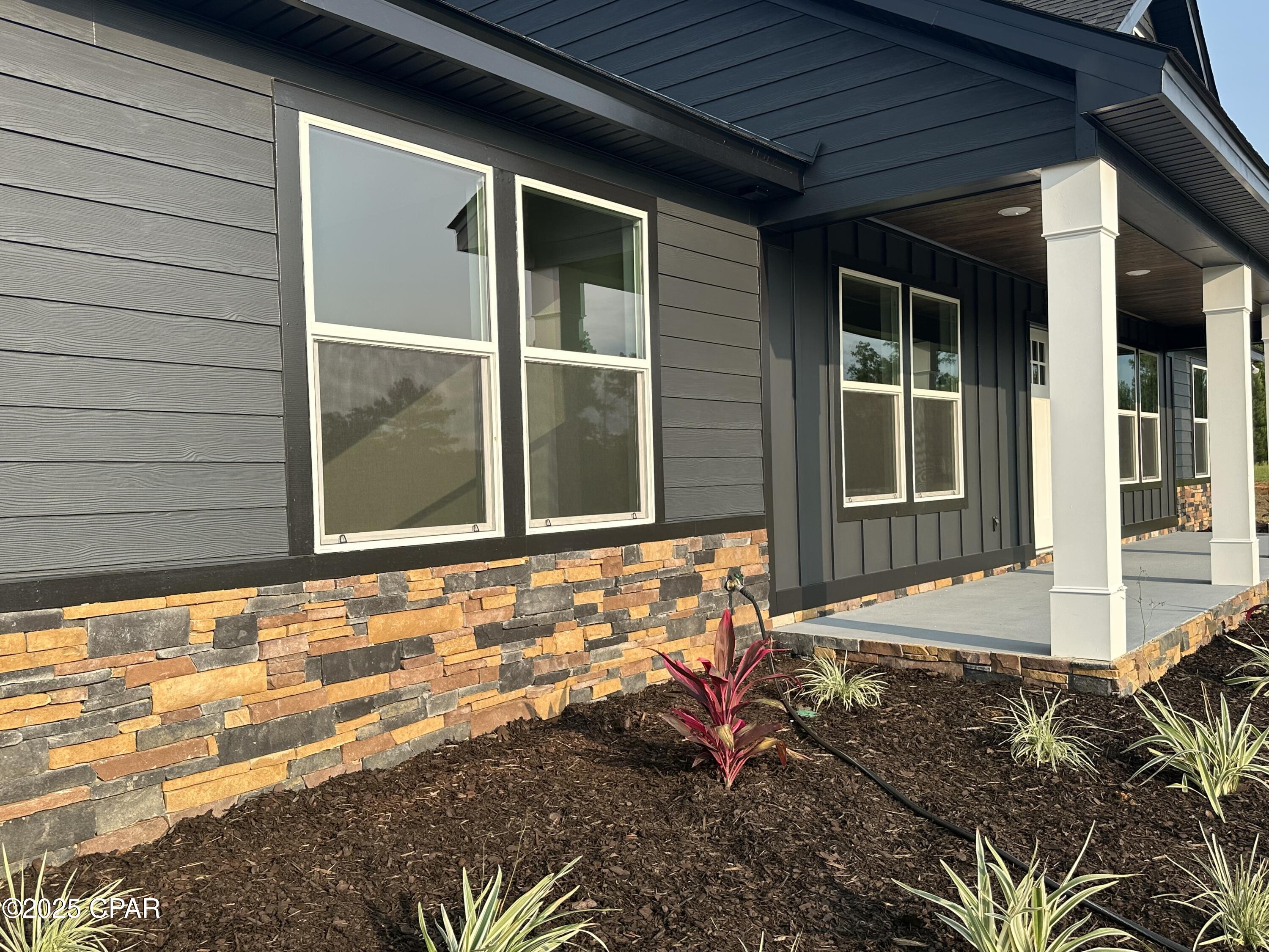 Cypress Tree - Residential