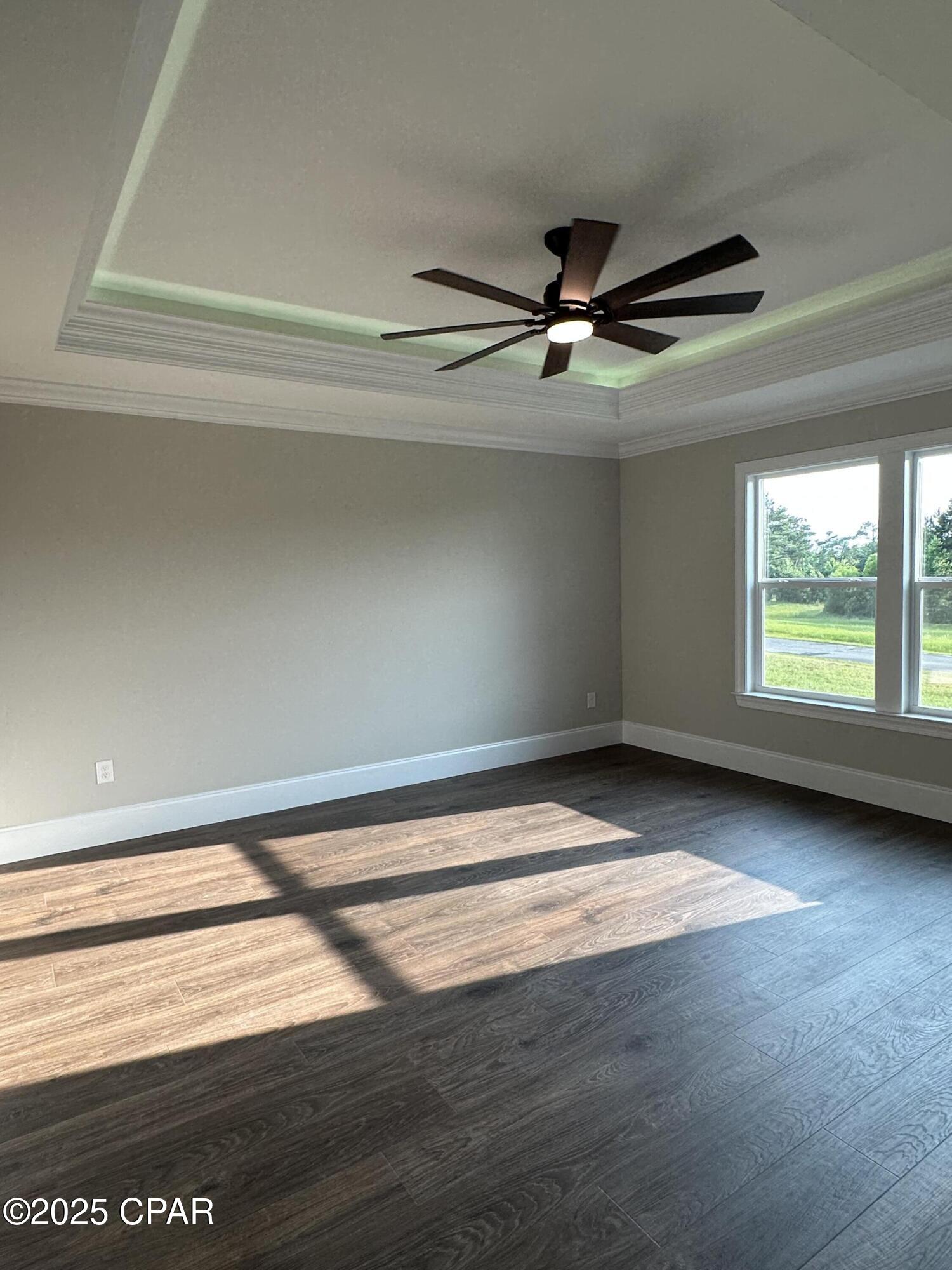 Cypress Tree - Residential