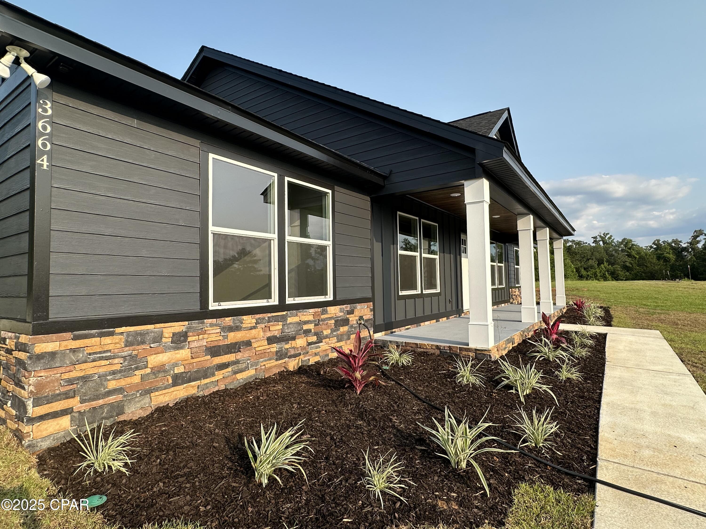 Cypress Tree - Residential