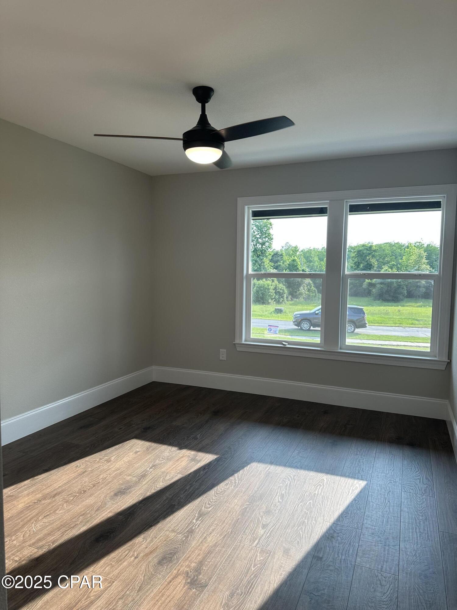 Cypress Tree - Residential