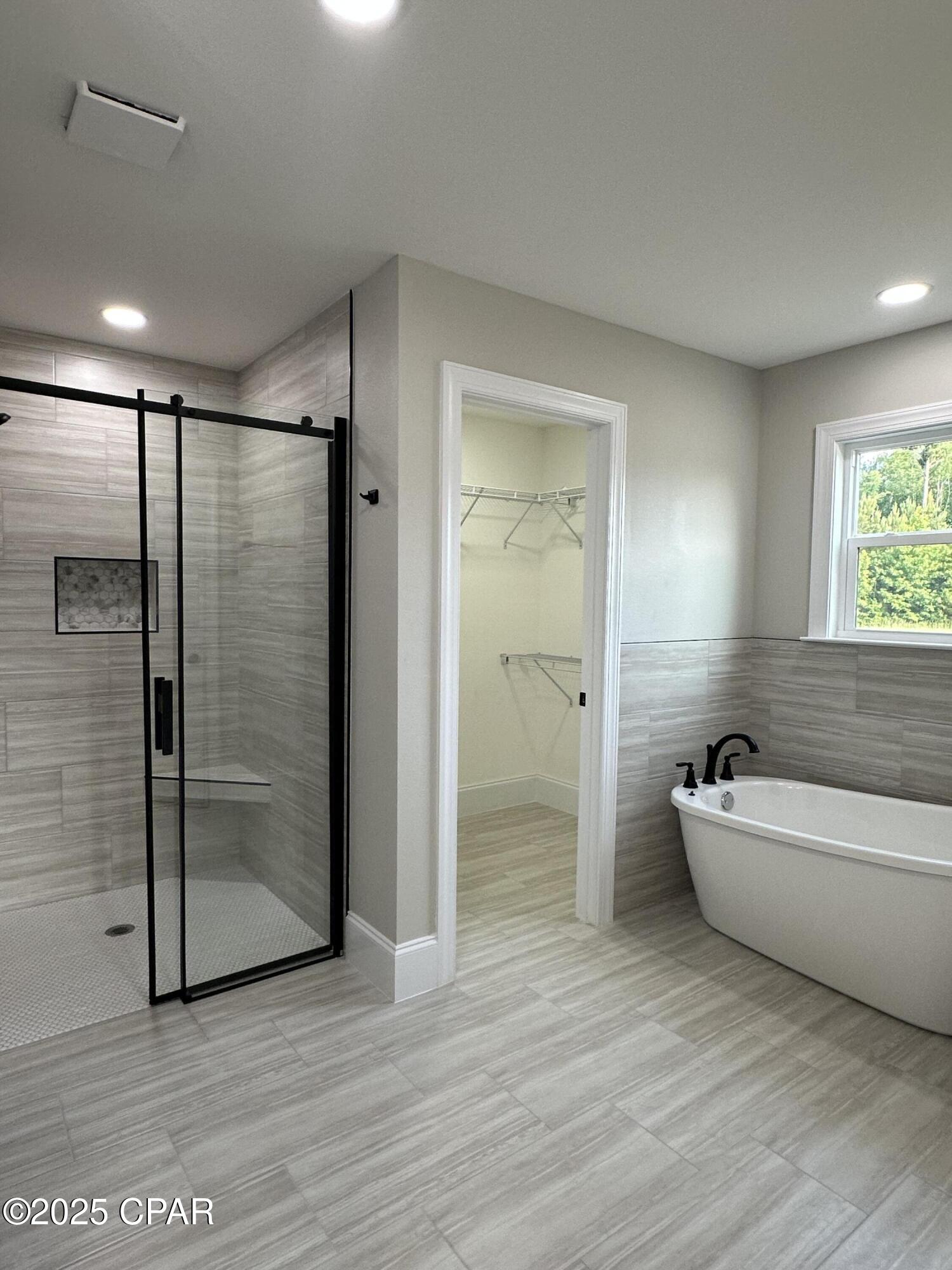 Cypress Tree - Residential