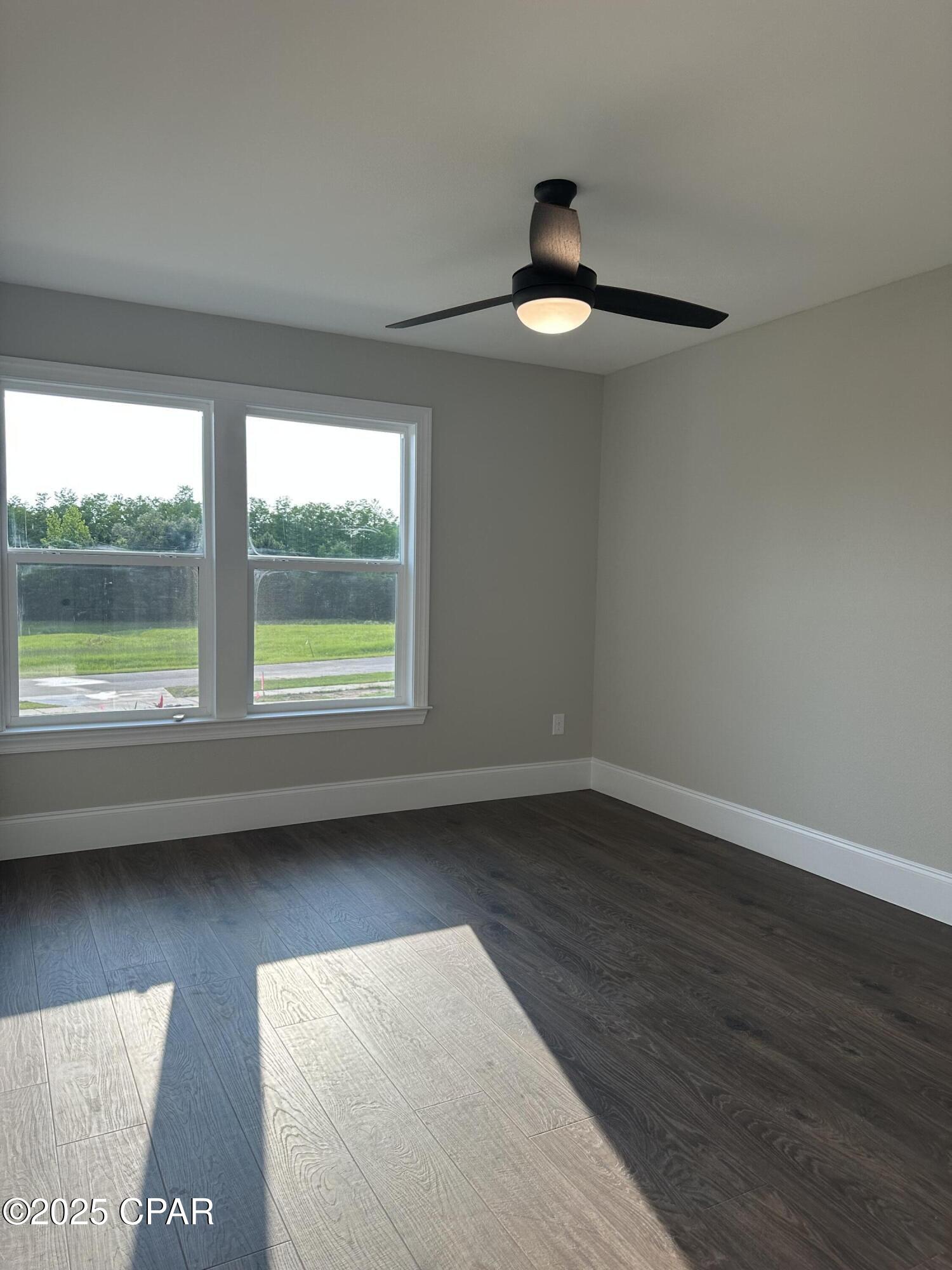 Cypress Tree - Residential