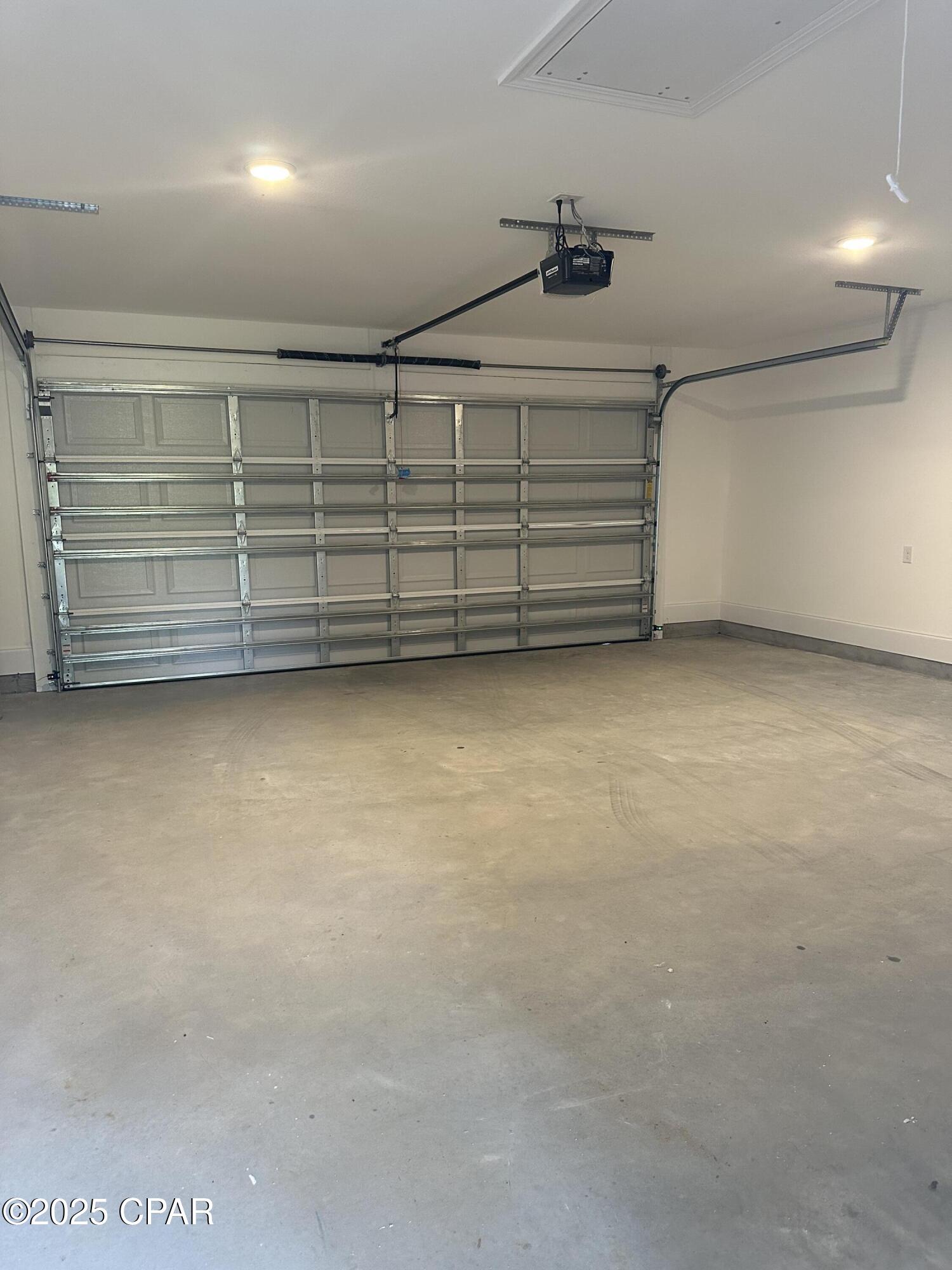 Cypress Tree - Residential