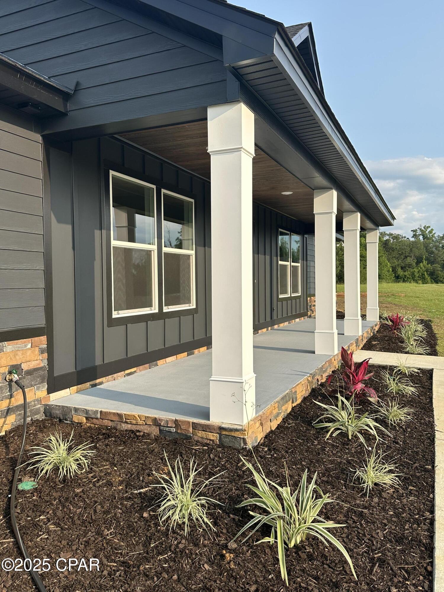 Cypress Tree - Residential