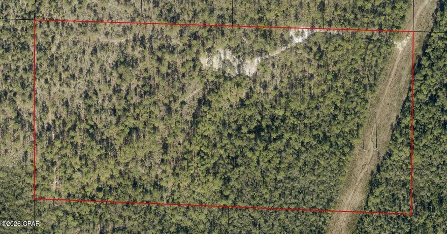 20 acres of hunting and recreation land off Hwy 231 in Fountain at the south end of Dickerson Rd. What I like about this property is its seclusion and lots of mature Pines. It has a gated entry and sizeable food plot which could easily be expanded. It has several terrain changes large Pines, scrub oaks, deer sanctuary, and power line frontage which could also be turned into a huge food plot. Once you get past the gate the property opens up and the land can be easily traversed with its many bush hogged trails. There are 2 tripods and a quad pod that convey with the land as well as a large portable water container. Lots of deer and turkey. If you are looking for a place to hunt, ride atvs, camp, or just get away for some peace and quiet time, look no further than this 20 acre spread.