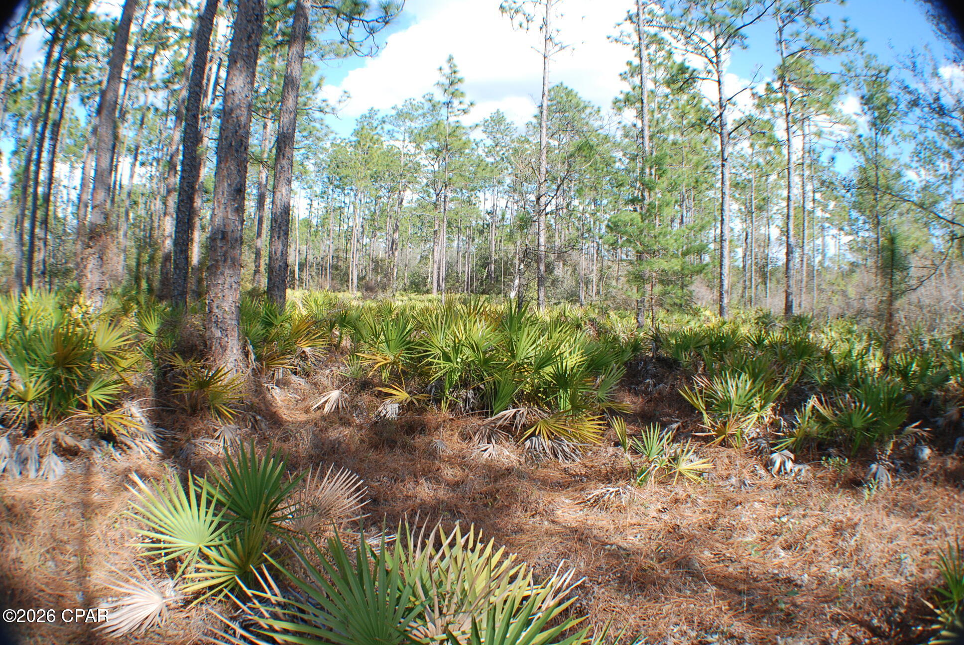 [No Recorded Subdiv] - Land