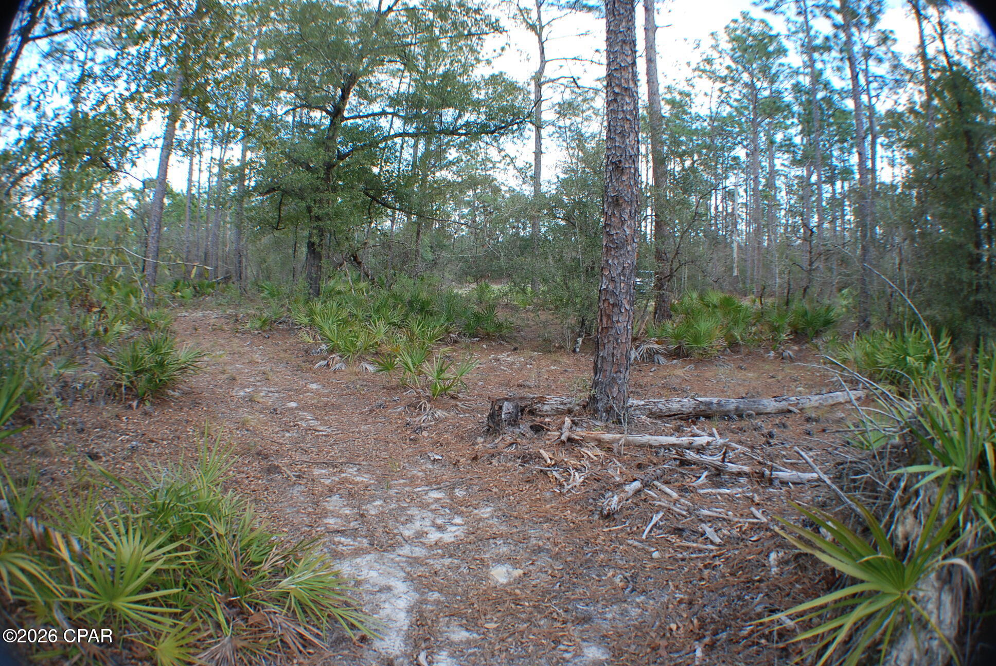 [No Recorded Subdiv] - Land