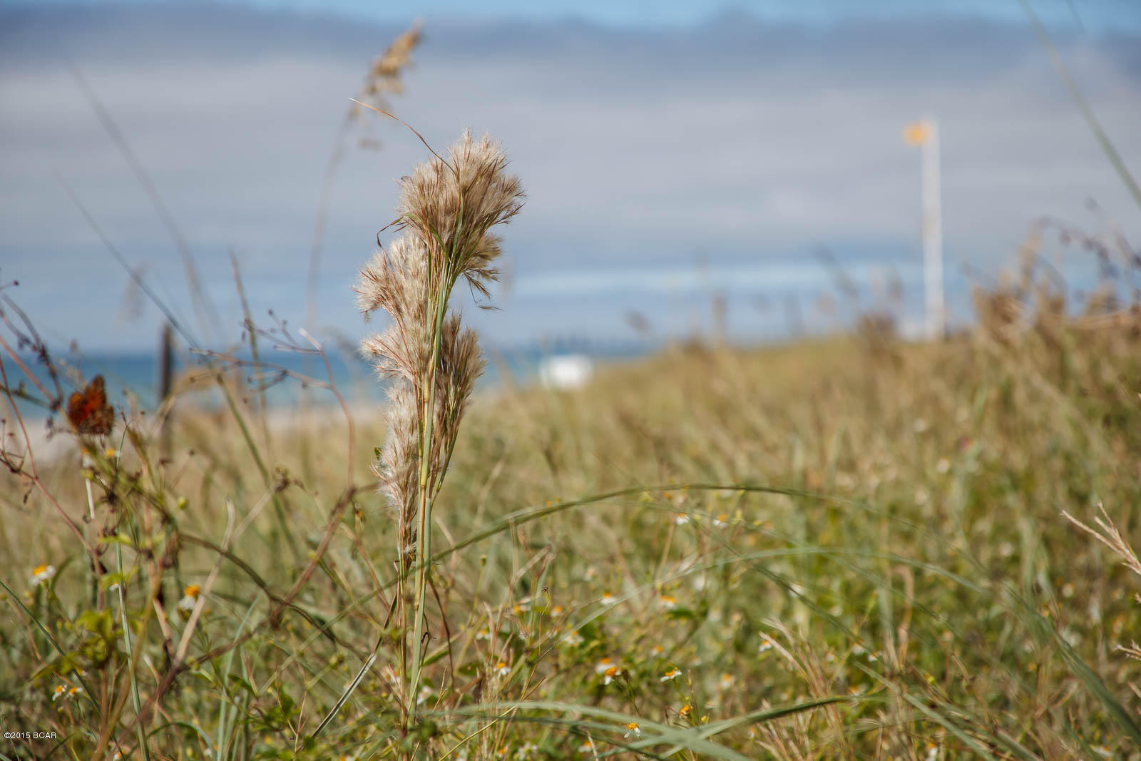 Twin Palms Resort - Residential