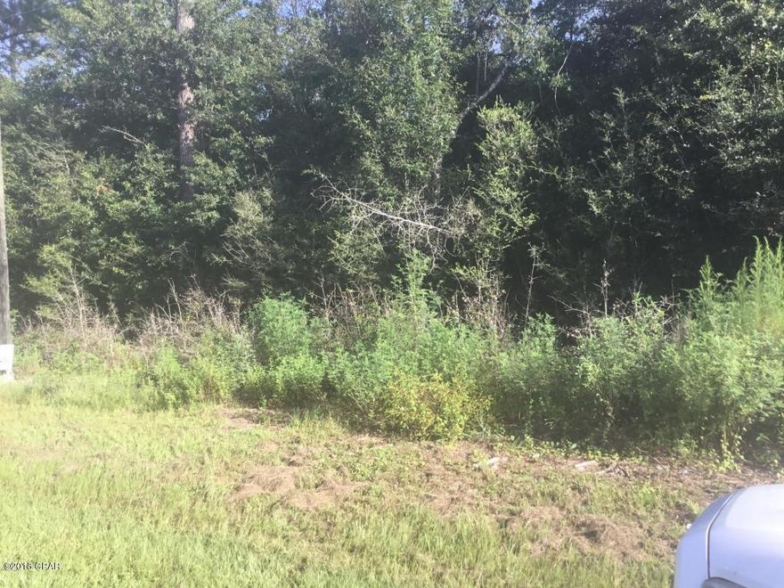 Great 6.7 acres in South Washington County with large pines and other type trees, the back of the property has pines that are ready to harvest. Call today to view the property.
