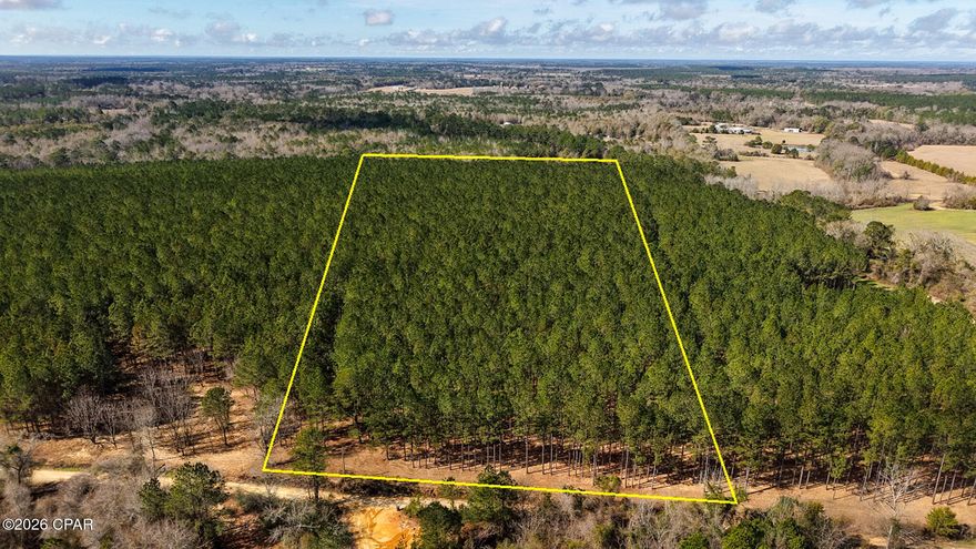 Another great tract of rural land in which to build a new home, recreate, or perhaps establish a small business income is now available in north Okaloosa County. Lot #2 of the Grimes Rd. tracts showcases a lengthy 10-acre property set within a stand of beautiful mature pine timber. A portion of the land features approximately two acres that have been selectively cleared and lies to the eastern side of the property. Here you will find road frontage, accessible power, and the perfect location to build and greet the morning sun. The remaining eight acres of the tract is filled with mature pine timber whose under carriage could also be cleared to support a consistent straw production business year after year. The wide strategically planted straight pine rows are perfect to maximize the harvest of a straw cash crop, of which the mature pine timber should certainly produce. And for those looking to hunt and recreate, the tract holds an abundance of wild game including whitetail deer, turkey and an occasional wild hog. Additional tracts may still be available; give us a call today as they shouldn't last long!