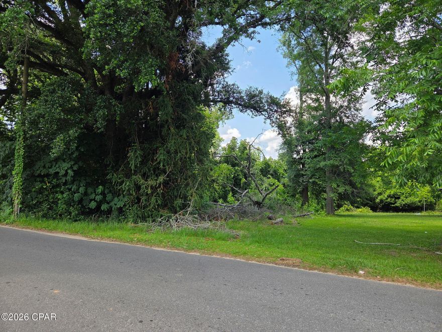 Nice lot in Marianna west side.