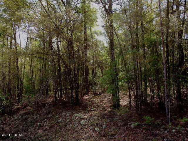 Compass Lake Hills Unit 5 - Land