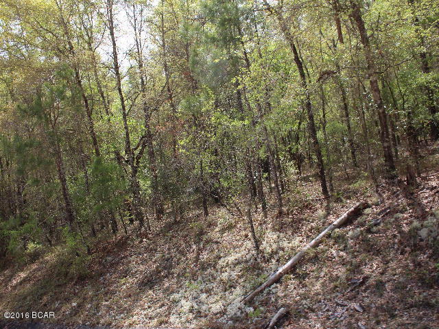 Compass Lake Hills Unit 5 - Land