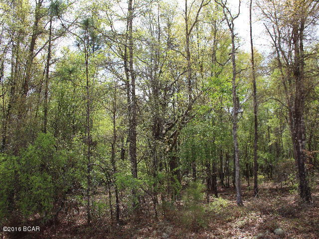 Compass Lake Hills Unit 5 - Land