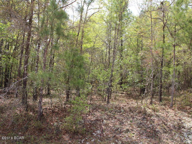 Compass Lake Hills Unit 5 - Land