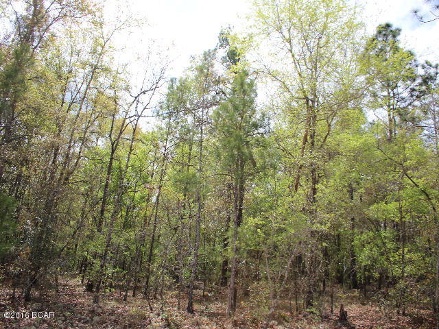 Compass Lake Hills Unit 5 - Land